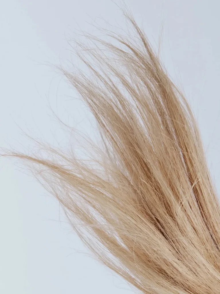Close-up of damaged hair with split ends