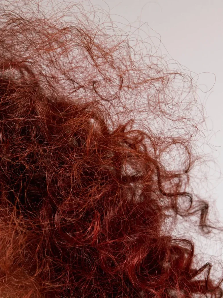 Close-up of dry, frizzy red hair