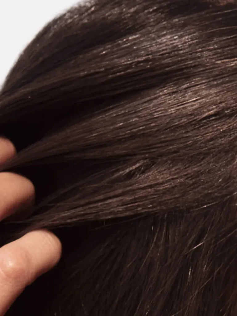 Close-up of hair at the roots